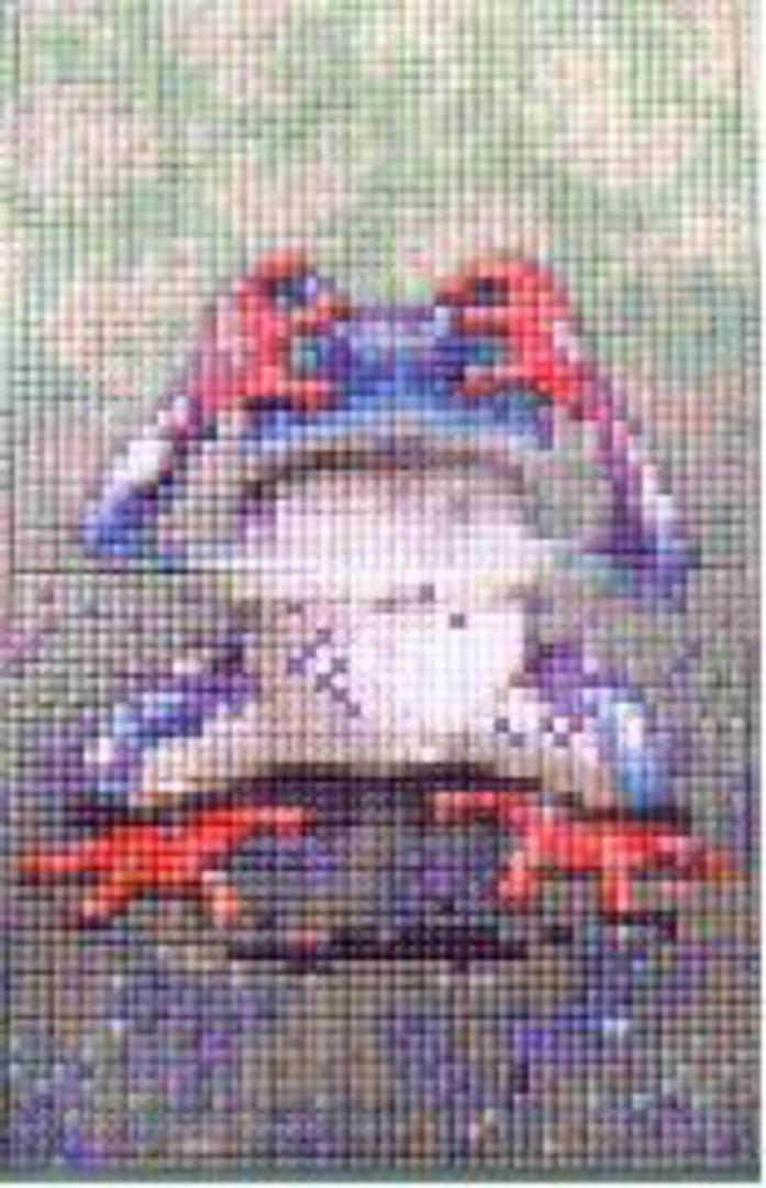 See No Evil Frog Two [2] Baseplate PixelHobby Mini-mosaic Art Kit image 0